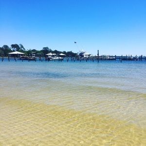 Meet your Posher, Cooper